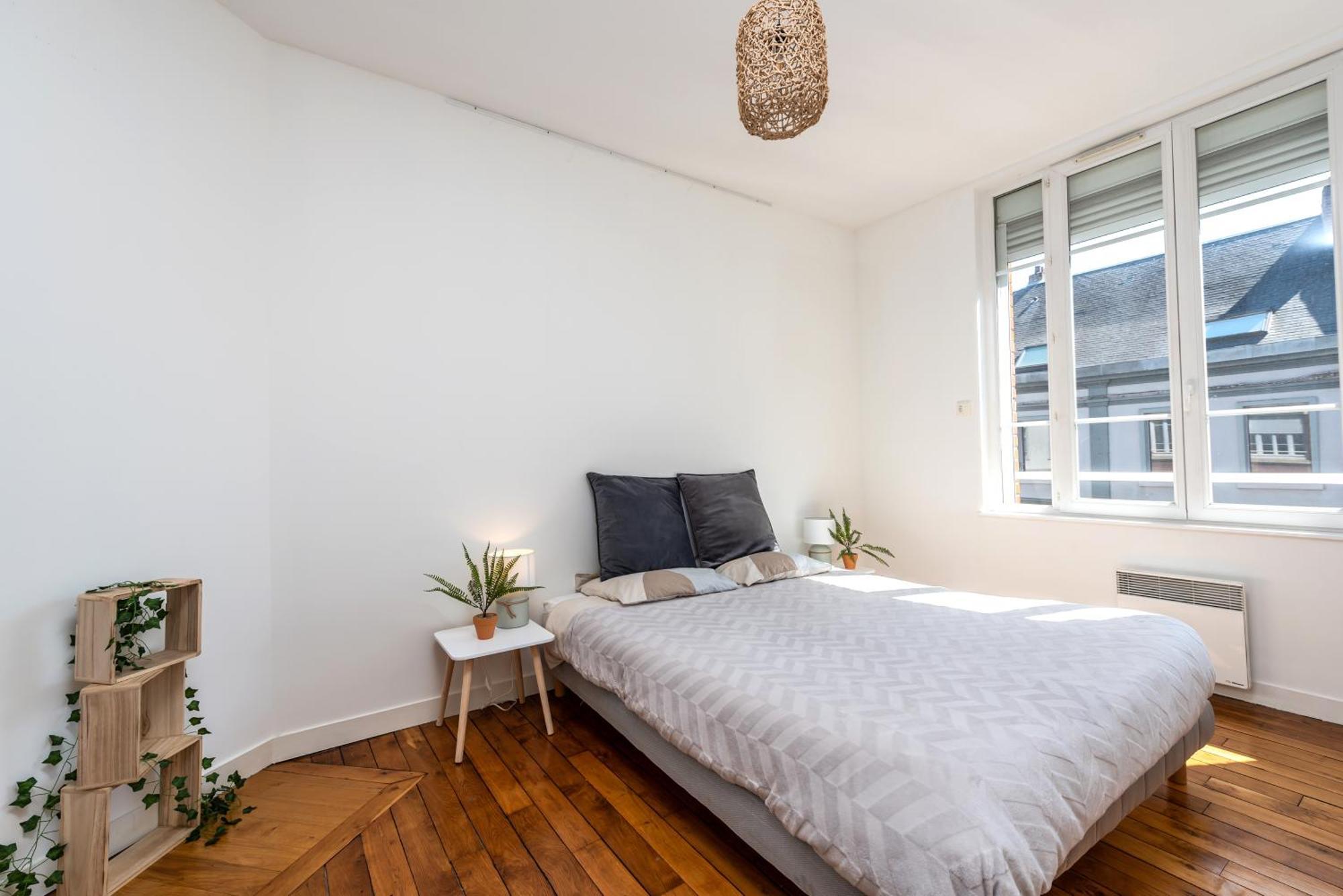 Le Jacobin / 1 Chambre - Netflix - Hyper Centre Amiens Bagian luar foto